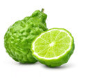 Bergamot