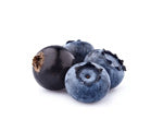 Blackcurrent