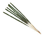Incense