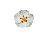 Labdanum